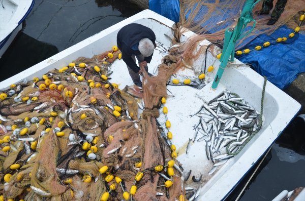 Balıkçılar mevsime rağmen düşüşün araştırılması istiyor 