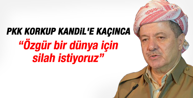 Barzani: Özgür dünya için silah istiyoruz