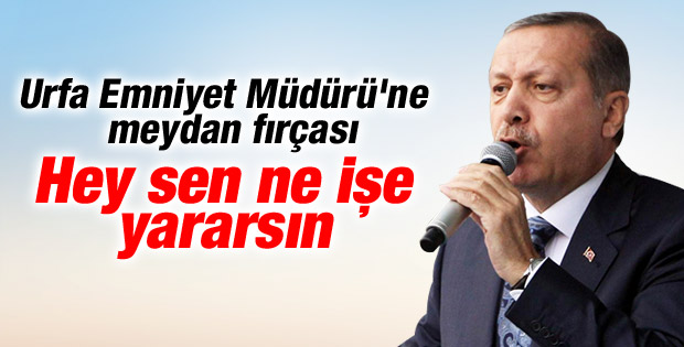 Başbakan Erdoğan Urfa Emniyet Müdürü'nü fırçaladı