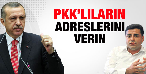 Başbakan:PKK'lıların adreslerini verin