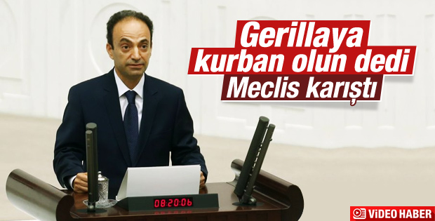 Baydemir: Dokunulmazlıklar gerillanın canına kurban olsun