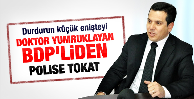 BDP'li vekil Özdal Üçer polis tokatladı