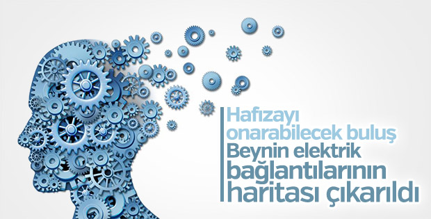 Beyindeki elektrik bağlantılarının haritası çıkarıldı