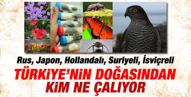 Türkiye biyokaçakçılarla savaşıyor