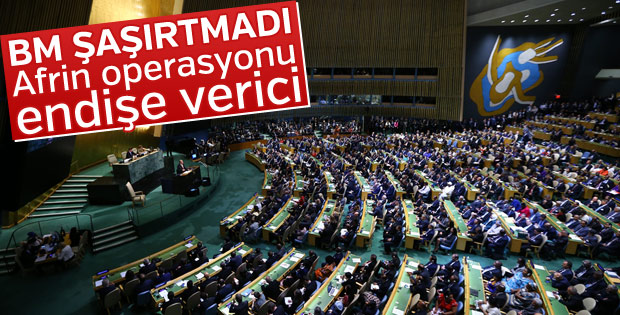 BM Sözcücü: Türkiye'nin Afrin operasyonu endişe verici