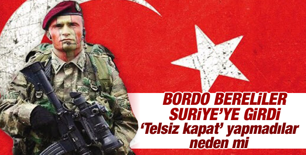 Bordo Bereliler Ayyaşe köyüne girdi iddiası