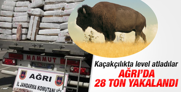 Ağrı'da kaçak bufalo eti ele geçirildi