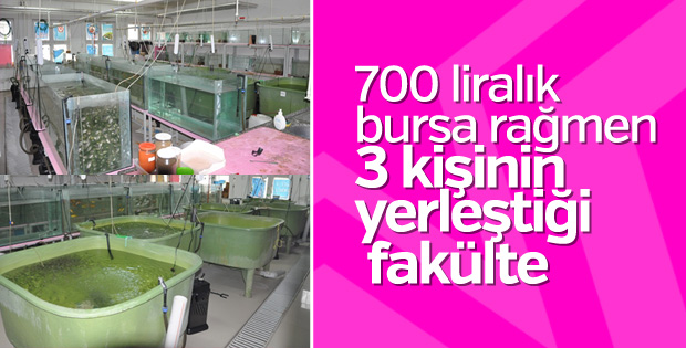 700 liralık burs verilen bölüme 3 öğrenci yerleşti