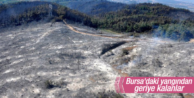 Bursa'daki yangından geriye kalanlar