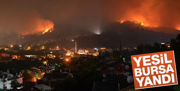 Bursa'da büyük orman yangını