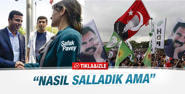 CHP'li Pavey'den HDP'li Demirtaş'a: Birlikte iyi salladık