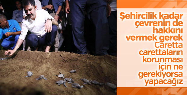 Murat Kurum caretta carettaları denize uğurladı