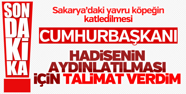 Cumhurbaşkanı: Yavru köpek için talimat verdim