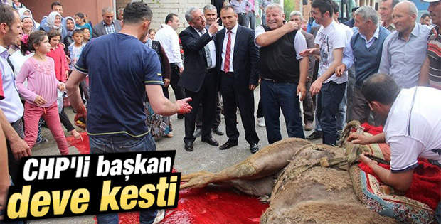 CHP'li Başkan deve keserek göreve başladı
