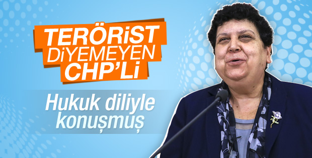 Teröriste eylemci diyen CHP'li: Hukuk diliyle konuşuyorum