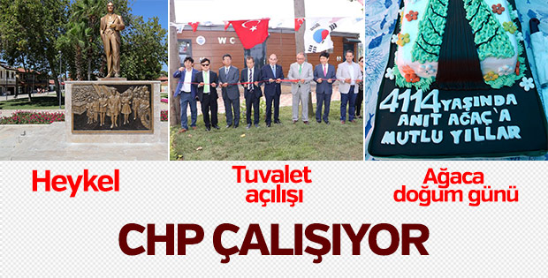 Dünyanın en yaşlı porsuk ağacına doğum günü pastası