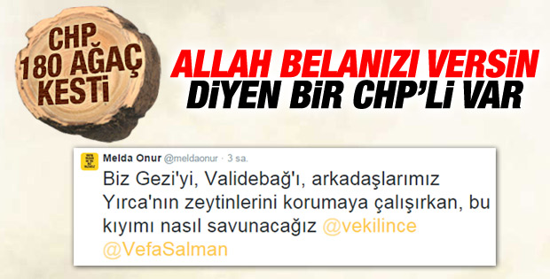 CHP'li Melda Onur'dan Muharrem İnce'ye ağaç tepkisi