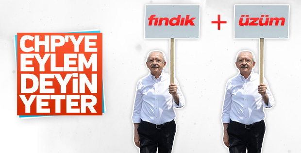 CHP'nın fındık ve üzüm eylemleri