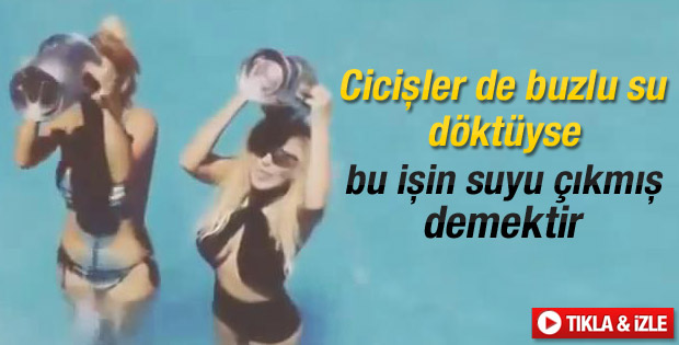 Cicişler Ali Ağaoğlu'na meydan okudu