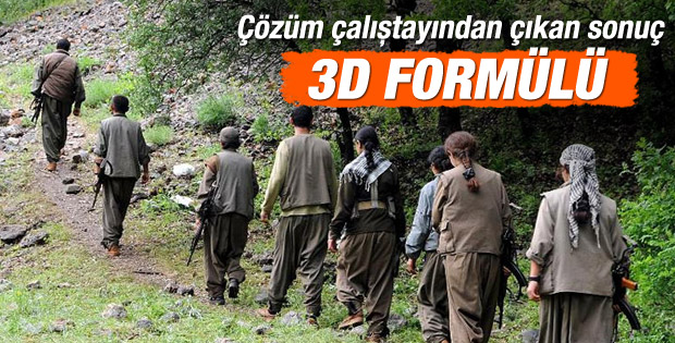 Çözüm sürecinde 3D formülü: Eve, hayata, siyasete dönüş