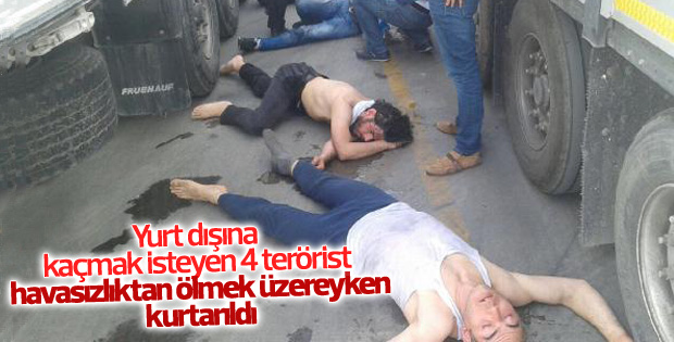 Yurt dışına kaçmak isteyen 4 DHKP-C'li yakalandı