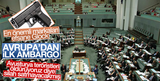 Avusturya Parlamentosu'ndan Türkiye'ye silah ambargosu