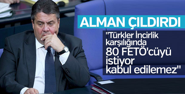 Alman Bakan Türkiye'nin talebini duyunca çıldırdı