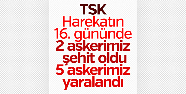 Zeytin Dalı Harekatı'nda 2 askerimiz şehit oldu