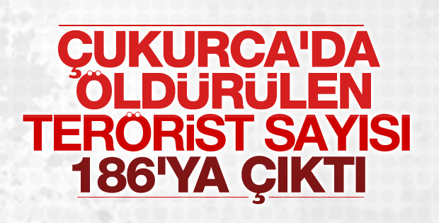 Çukurca'da PKK'ya ağır darbe