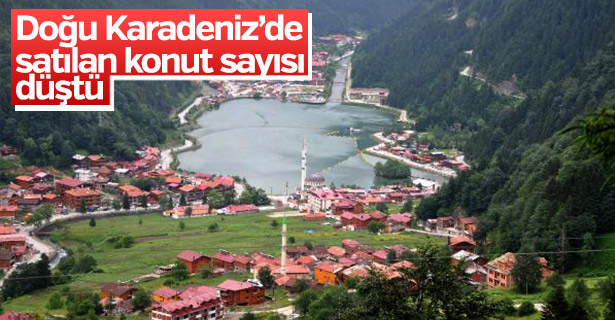 Doğu Karadeniz’de satılan konut sayısı yüzde 17,4 düştü