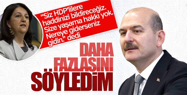 Bakan Soylu: Pervin Buldan'ı aradım