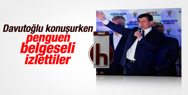 Halk TV Davutoğlu konuşurken penguen belgeseli yayınladı