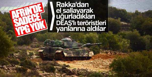 Afrin'de YPG ile DEAŞ TSK'ya karşı birleşti