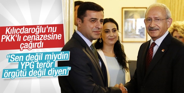 Demirtaş'tan Kılıçdaroğlu'na çağrı: Cizre'ye gel