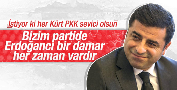 Demirtaş'tan bazı HDP'lilere: Erdoğan seviciler
