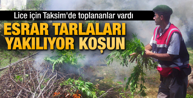 Diyarbakır'da 1000 kişiyle uyuşturucu operasyonu