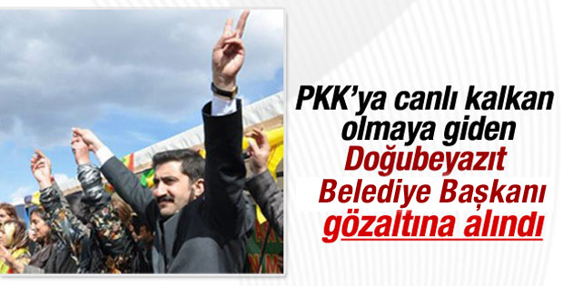 HDP'li başkan PKK'ya kalkan olmaya giderken yakalandı