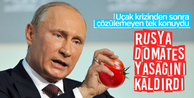 Rusya'dan Türk domatesine sınırsız vize