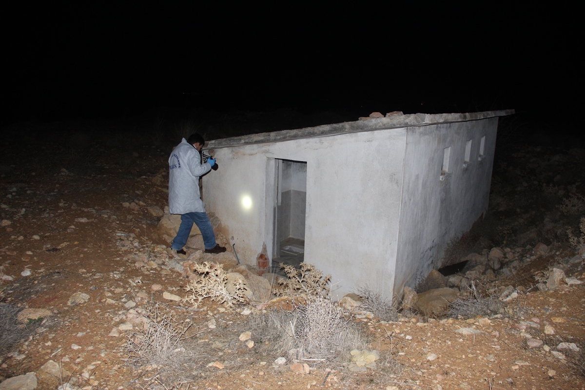 Domuz bağıyla bağlayıp ölüme terk ettiler