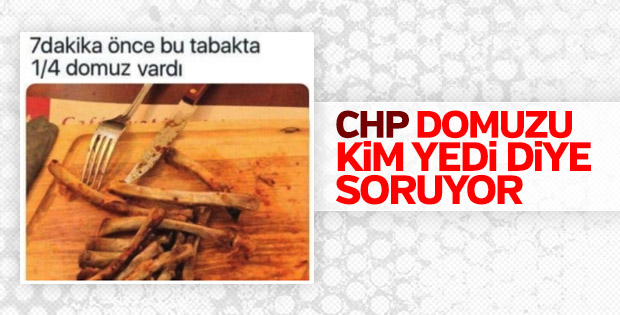 CHP, Türkiye'de satılan domuz etlerini araştırıyor
