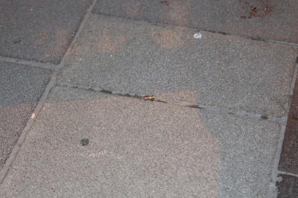 İstanbul'da gaspçılar direnen Suriyeliyi vurdu