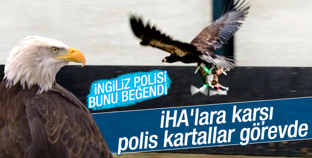 İngiliz polisinden İHA'lara karşı kuş önlemi