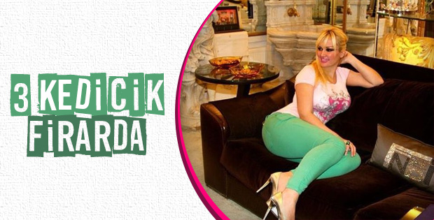 Adnan Oktar'ın örgütünden 3 kedicik firarda