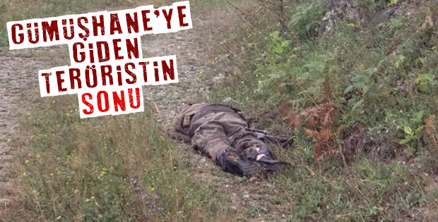 Gümüşhane'de 2 terörist öldürüldü