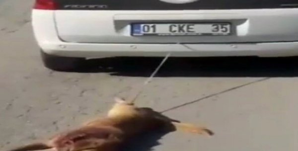 Arabanın arkasına bağladığı köpeği metrelerce sürükledi