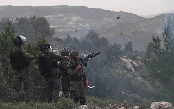 İsrail kendi topraklarına ağaç diken Filistinlilere saldı