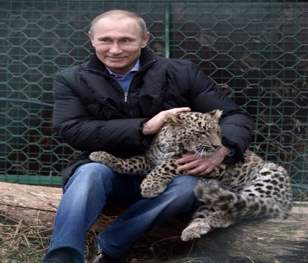 Putin'in doğaya salınan leoparı ölü bulundu