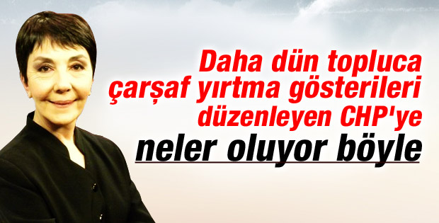 Gülay Göktürk: CHP Ak Parti sayesinde parti oluyor