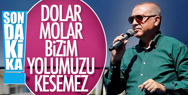 Başkan Erdoğan'dan döviz ve altınları bozdurun çağrısı
