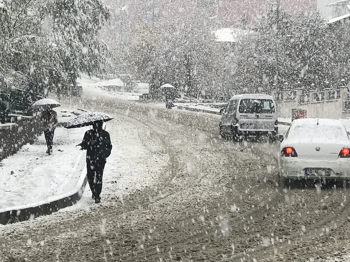 Van ve Hakkari'de kar yağışı etkili oldu